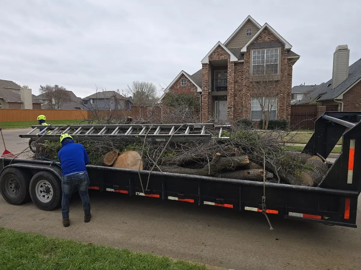 Expert Crown Reduction with proper safety equipment in Minnesota Lake